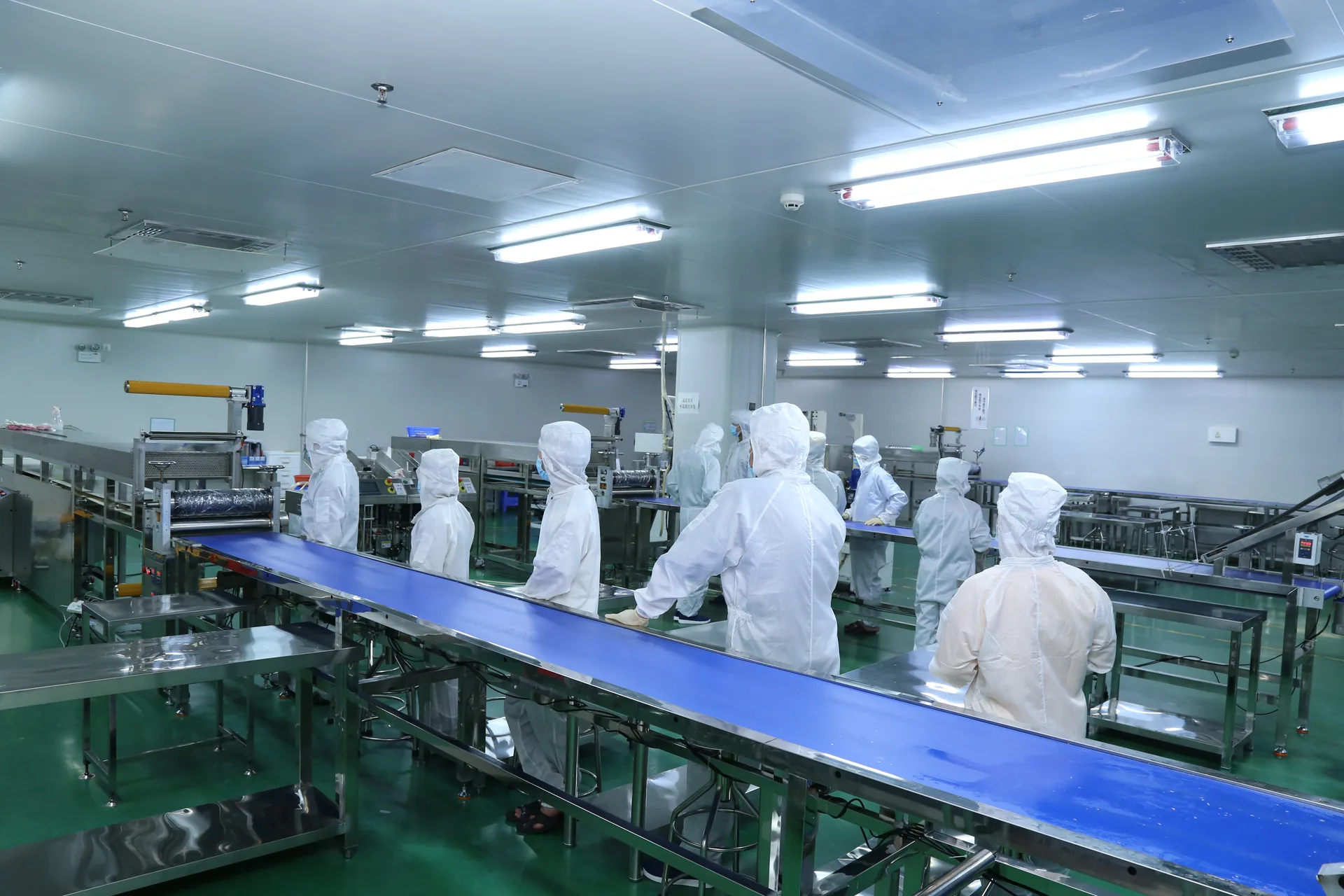 Tressfield hair care production line — filling hall in Guangdong, China